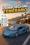 11052 SUN-BUR-1 18 LAMBORGHINI TEMERARIO 2025 2A