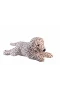 1140 90 CM DALMAÇYALI KÖPEK
