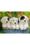 127658 Cuddly Puppies 200 parça XXL Ravensburger Puzzle