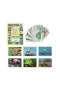 1352 F.CARDS İLK 50 HAYVAN