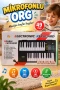 13758-MQ-24902 MİKROFONLU ORG