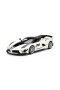16012 Sunman 1:18 Ferrari FXX K Evo Model Araba