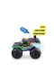 203764025 Rowdy Rocker