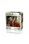 20706 Lady Godiva 1000 Parça Puzzle -KS Puzzle