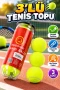 3’lü Tenis Topu Seti – Dayanıklı ve Dengeli Zıplama Performanslı