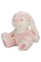 4806 Sevimli Peluş Tavşan 35 cm -Sunman