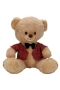 4810 SUN-JNH-PFF-SK PELUŞ AYI ELBİSELİ 32CM 2A
