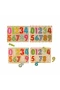 5215 -Wooden Puzzle Numbers 10 Parça