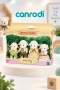 5619 Sylvanian Families Koyun Ailesi +3 yaş