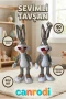 5780 SUN-ANB-PELUŞ BUGS BUNNY 40CM 5R LT