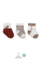 Bistyle 3lü Penye Soket Çorap Bs10109 Kiremit