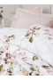 Cotton Box Complete Set Tek Kişilik Brice Bej