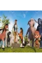 DORU 714 PUZZLE 100