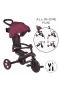 Globber Explorer 4in1 Katlanabilir Bisiklet Bordo