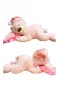 Halley Peluş Uyuyan Ayı 35 Cm 50152