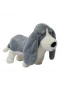 Halley Uzun Kulaklı Peluş Köpek 25 Cm 62388