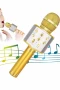 Karaoke Mikrofonlu Bluetooth Hoparlör SD USB AUX Girişli Taşınabilir Ses Sistemi