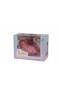 LD77002C KUTULU BEBEK
