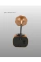 Mini Nostaljik Bluetooth Hoparlör FM Radyo 5W 1200mAh 8 Saat Kullanım