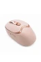 Şarjlı Kablosuz Mouse – Sessiz Tıklama, Bluetooth ve 2.4G USB Destekli