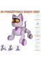 Seher Uzaktan Kumandalı Dans Edebilen Robot Kedi Sh40194