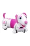 SIL 88740 Robo Dash D Asorti