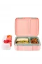 Skip Hop Spark Style Bento Beslenme Kutusu Kedi