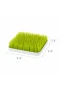 TBN373 BOON - GRASS Biberon Kurutma Ünitesi