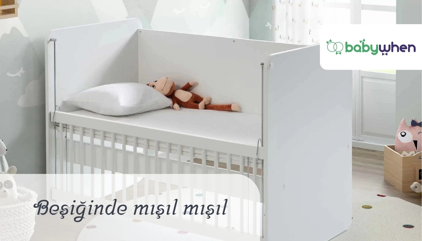 Mobilya Beşikler