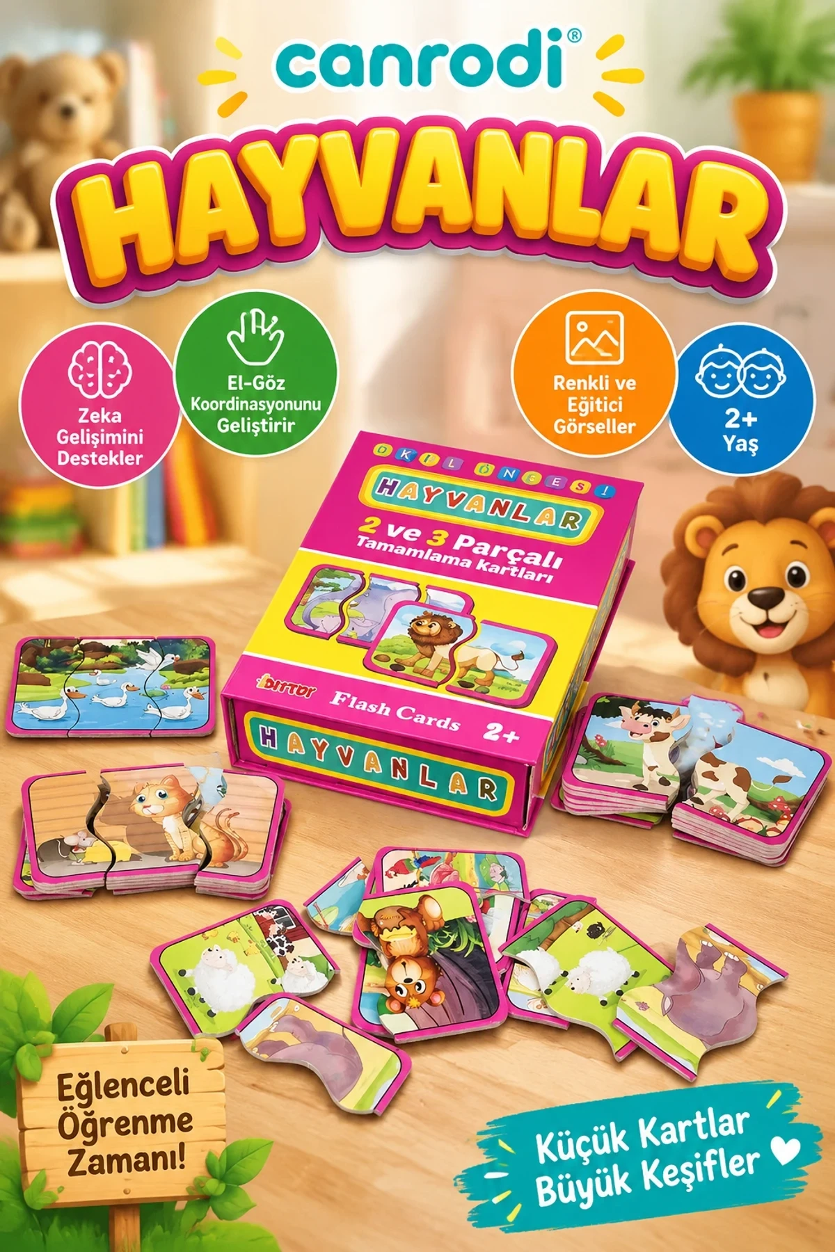 1185 FLAHS CARD HAYVANLAR