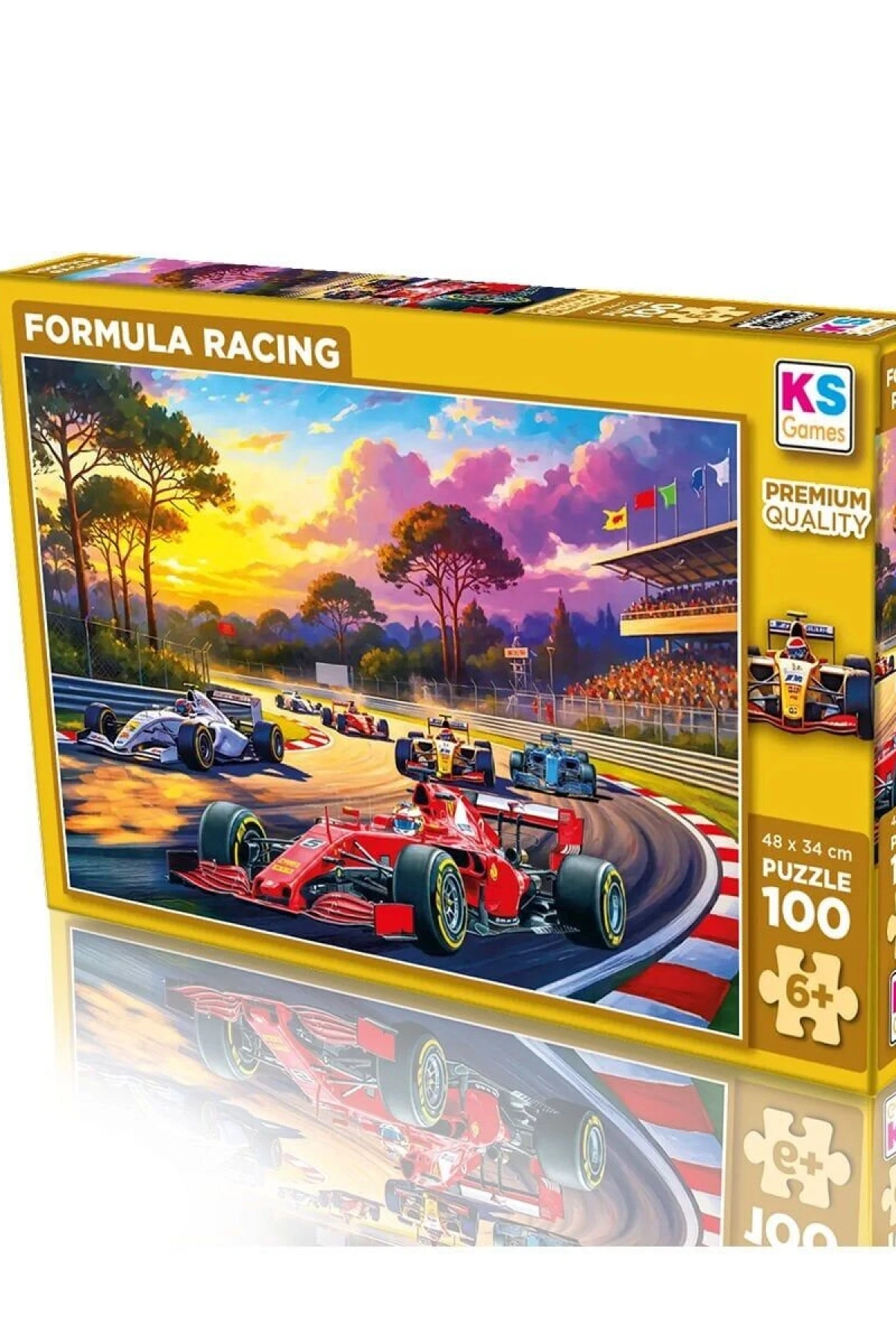 31505 FORMULA RACING 100 PARÇA PUZZLE
