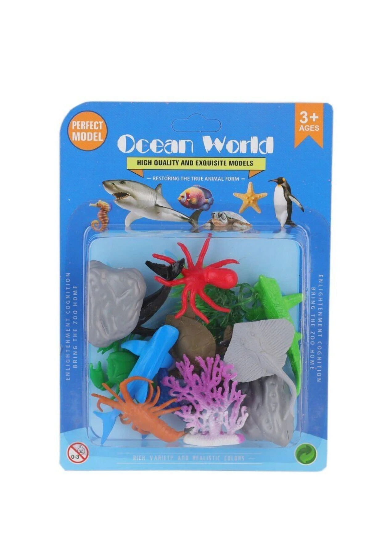 H6 Vakumlu Deniz Hayvanları