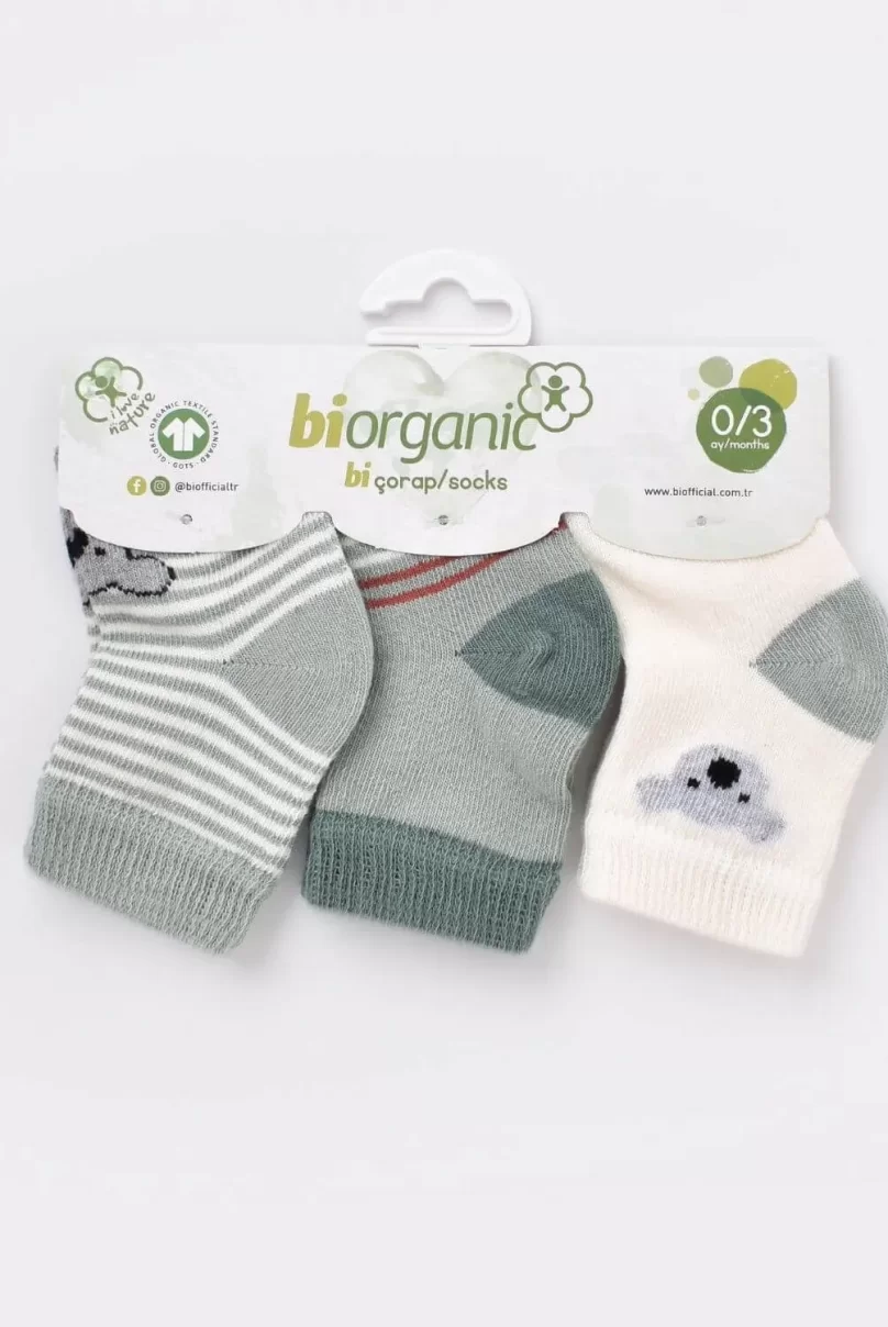 Bibaby Biorganic Koala Erkek 3Lü Çorap 68449 Nil