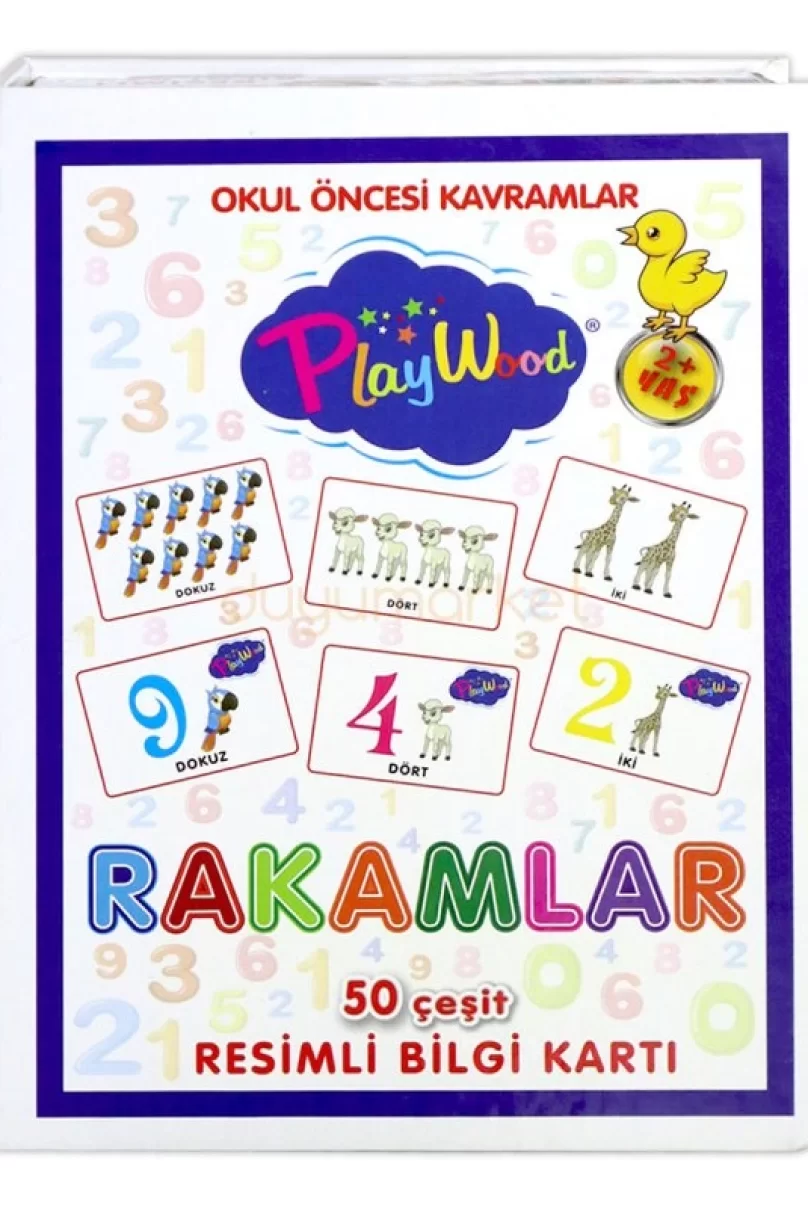 PlayWood Eğitici Resimli Bilgi Kartları Rakamlar 27