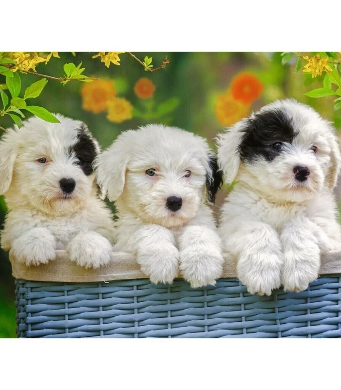 127658 Cuddly Puppies 200 parça XXL Ravensburger Puzzle