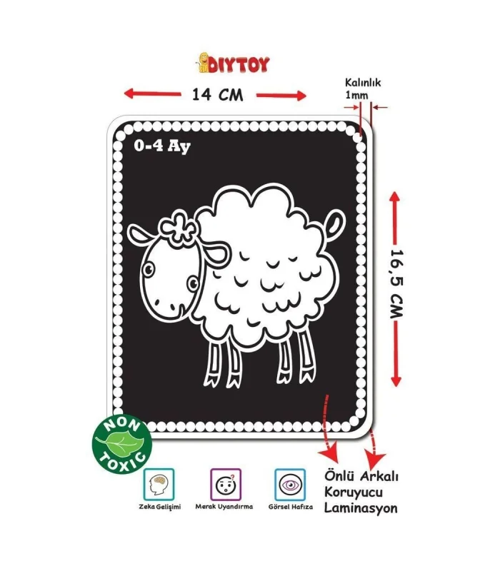 1369 F.CARDS BEBEĞİMİN İLK ZEKA KARTLARI