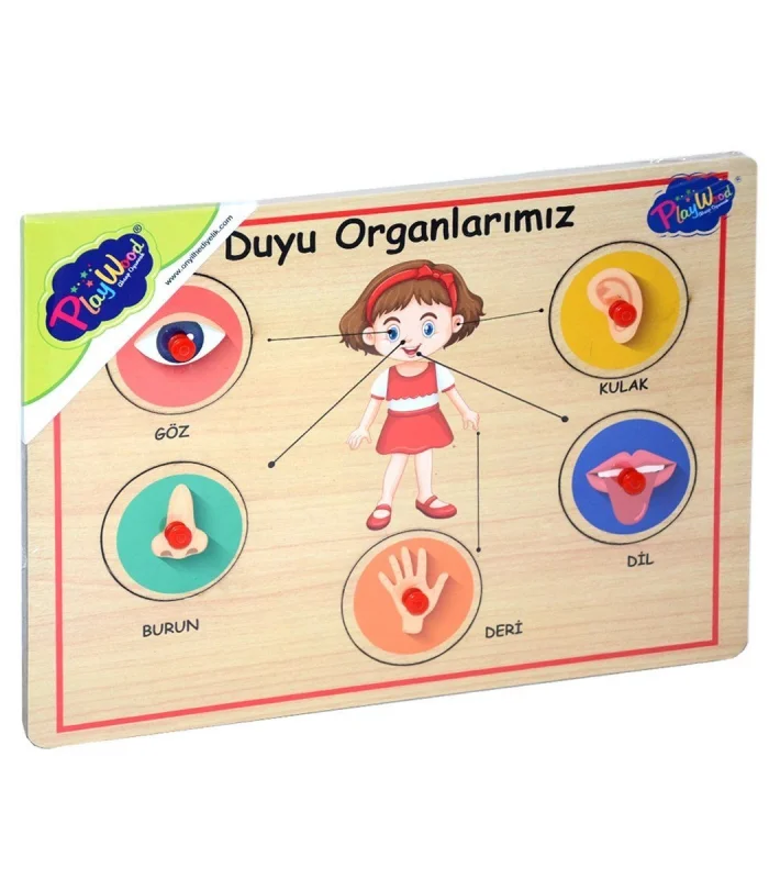 166/167 Onyıl, Ahşap Tutmalı Organlar