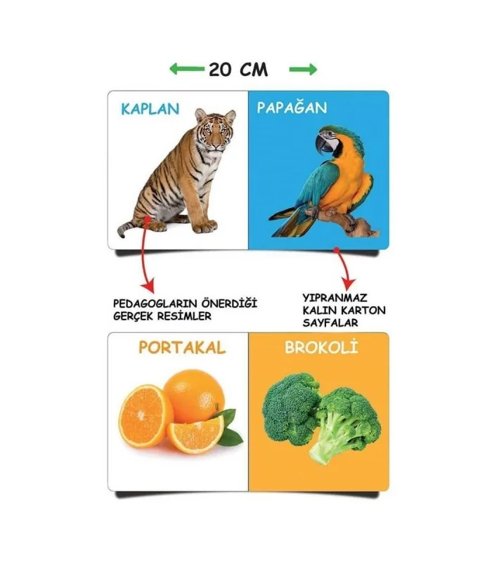 2090 Dıytoy, İlk Kütüphanem-İlk Sözcükler 8Li Mini Kitap Seti