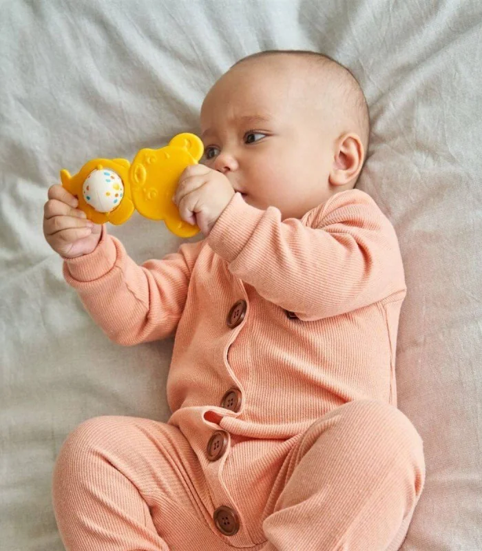 30860-LC SEVİMLİ AYICIK DİŞ KAŞIYICI-ÇINGIRAK