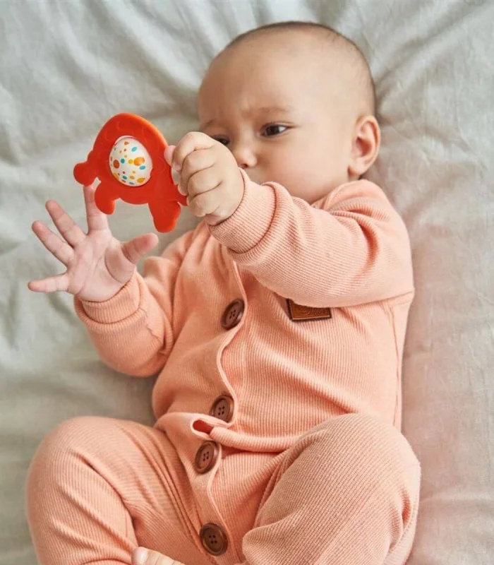 30862-LC SEVİMLİ KAPLUMBAĞA DİŞ KAŞIYICI-ÇINGIRAK