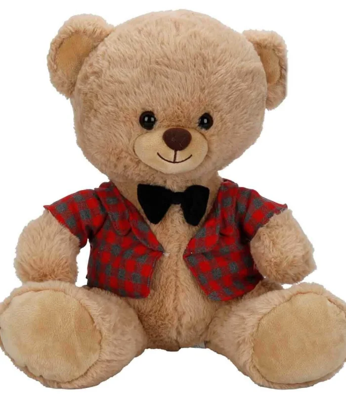 4810 SUN-JNH-PFF-SK PELUŞ AYI ELBİSELİ 32CM 2A