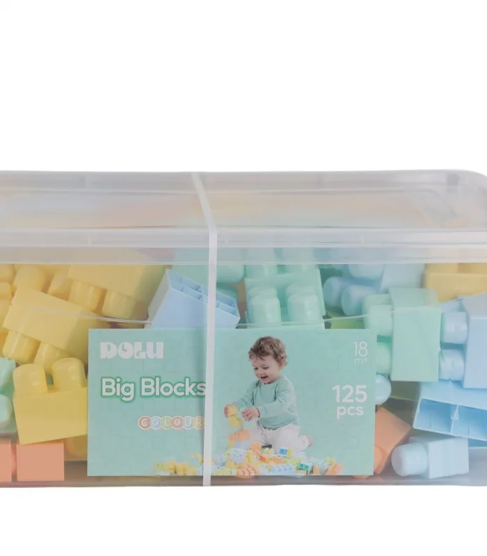 5214 OYUNCAK SANDIKTA BÜYÜK RENKLİ BLOKLAR 125 PARÇA