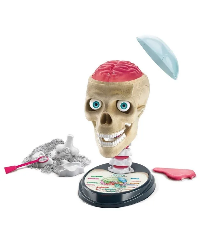 64322 Bilim ve Oyun - Çılgın Anatomi +7 yaş