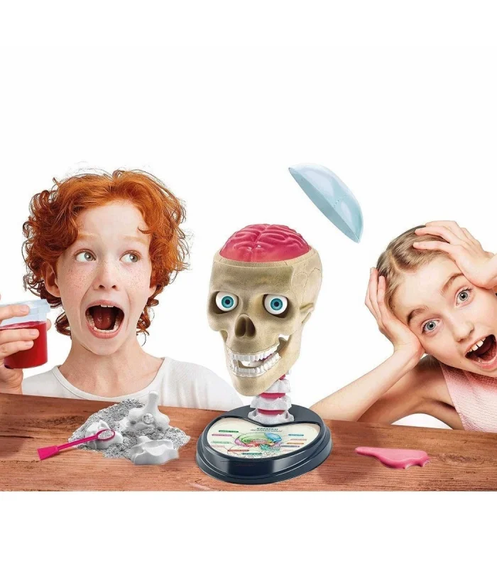 64322 Bilim ve Oyun - Çılgın Anatomi +7 yaş