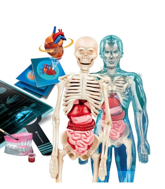 64474 Bilim ve Oyun - Süper Anatomi +8 yaş