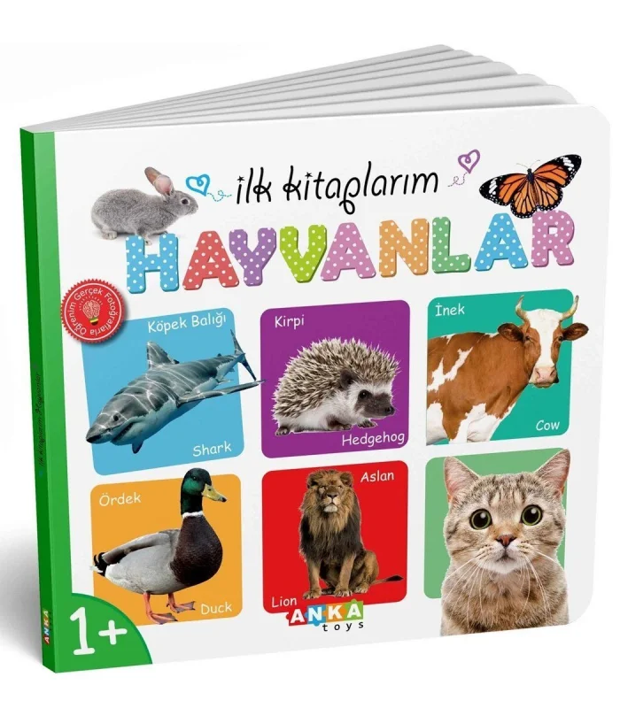 7202 İLK KİTAPLARIM 6LI SET