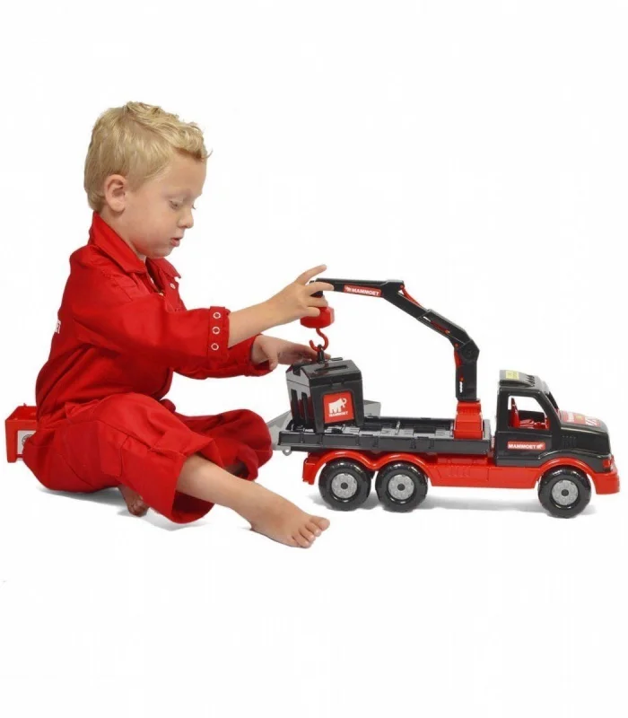 87737 Polesie Konteynır Taşıyıcı Kamyon