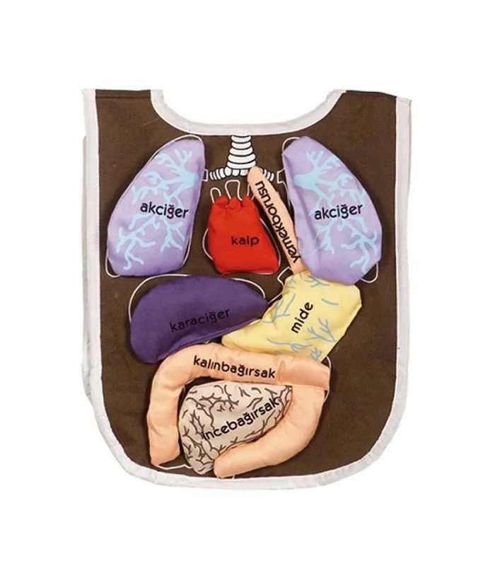 AND-5011 ORGAN ÖNLÜĞÜ