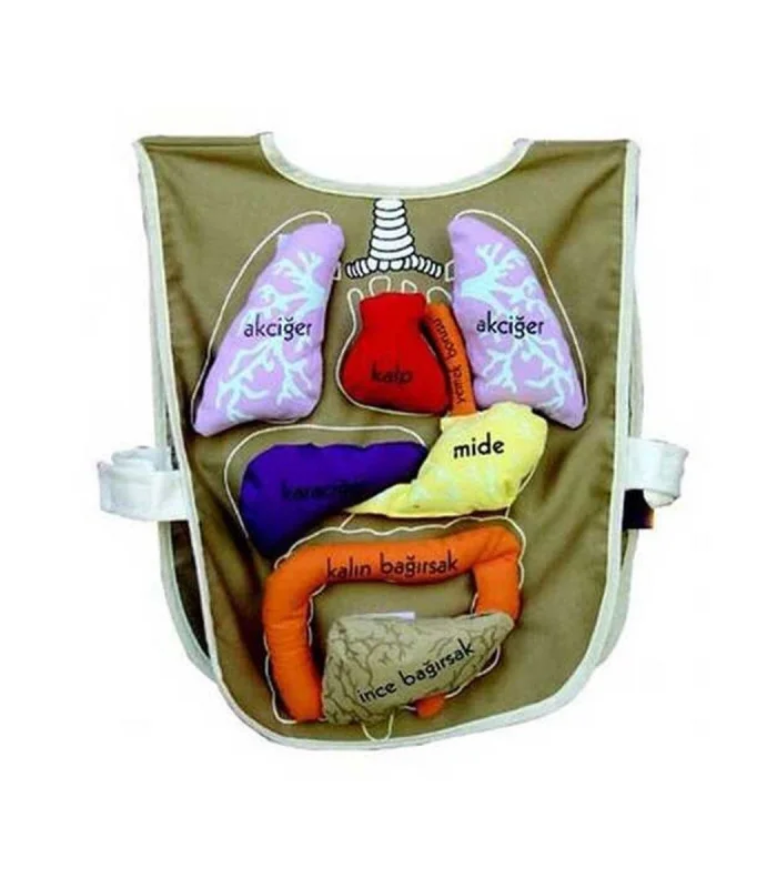 AND-5011 ORGAN ÖNLÜĞÜ