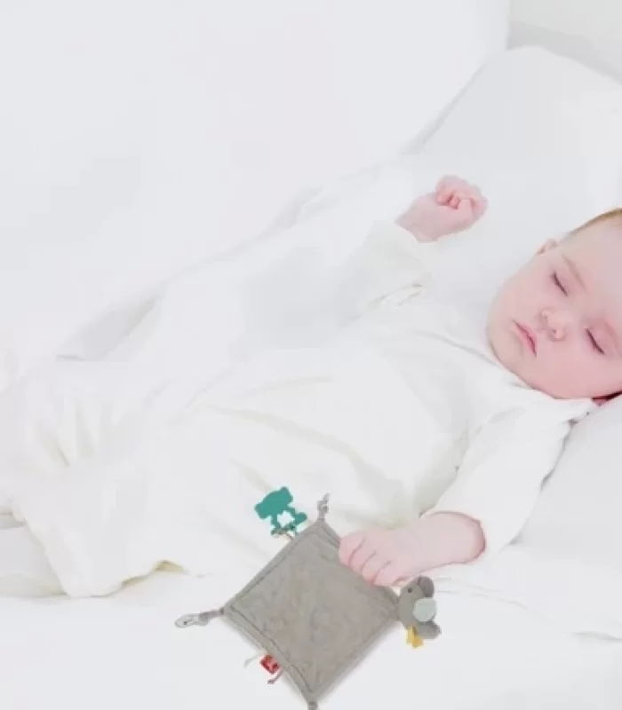 BabyJem Diş Kaşıyıcılı Uykucu Birdy 858 Kahve